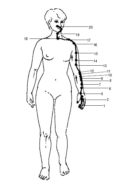 Иллюстрация к книге — Исцеляющие точки организма. Самые надежные техники самопомощи [i_021.jpg]