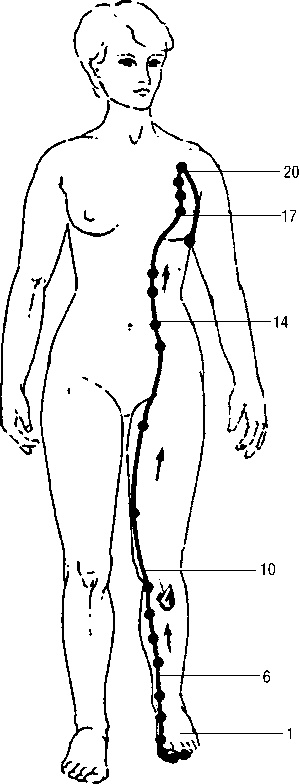Иллюстрация к книге — Исцеляющие точки организма. Самые надежные техники самопомощи [i_023.jpg]