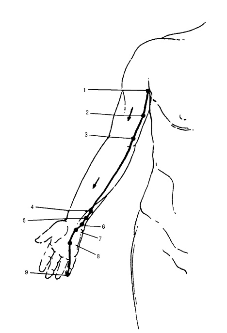 Иллюстрация к книге — Исцеляющие точки организма. Самые надежные техники самопомощи [i_024.jpg]