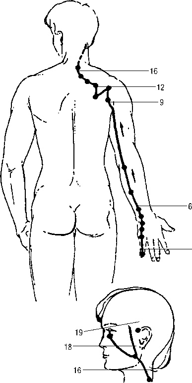 Иллюстрация к книге — Исцеляющие точки организма. Самые надежные техники самопомощи [i_025.jpg]