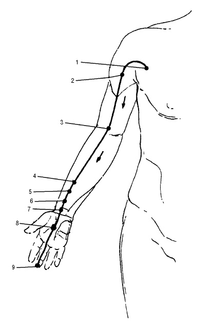 Иллюстрация к книге — Исцеляющие точки организма. Самые надежные техники самопомощи [i_030.jpg]