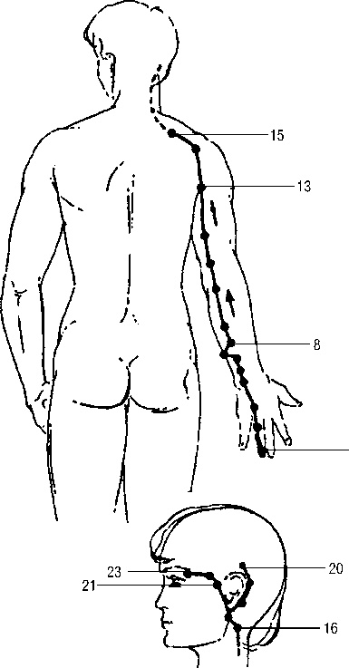Иллюстрация к книге — Исцеляющие точки организма. Самые надежные техники самопомощи [i_031.jpg]