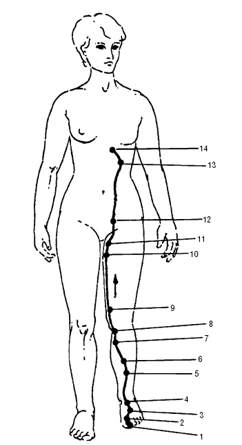 Иллюстрация к книге — Исцеляющие точки организма. Самые надежные техники самопомощи [i_033.jpg]