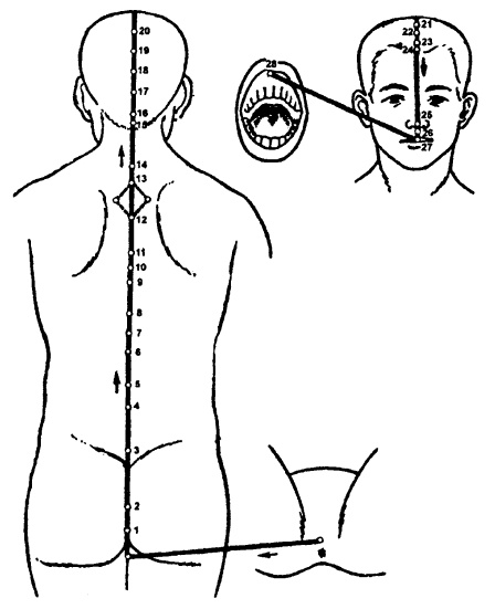 Иллюстрация к книге — Исцеляющие точки организма. Самые надежные техники самопомощи [i_034.jpg]
