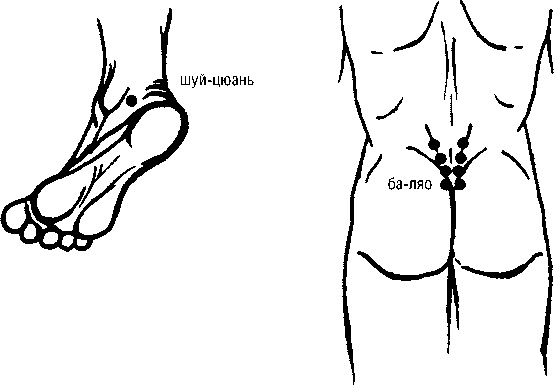 Иллюстрация к книге — Исцеляющие точки организма. Самые надежные техники самопомощи [i_062.jpg]
