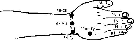 Иллюстрация к книге — Исцеляющие точки организма. Самые надежные техники самопомощи [i_068.jpg]