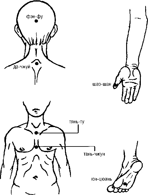 Иллюстрация к книге — Исцеляющие точки организма. Самые надежные техники самопомощи [i_096.jpg]
