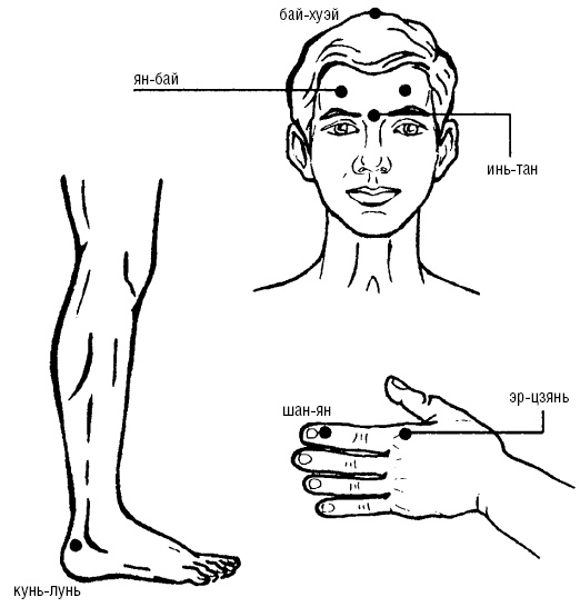 Иллюстрация к книге — Исцеляющие точки организма. Самые надежные техники самопомощи [i_104.jpg]