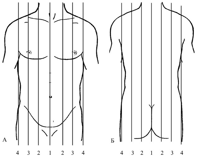 Иллюстрация к книге — Лечение пиявками. Теория и практика гирудотерапии [i_016.jpg]