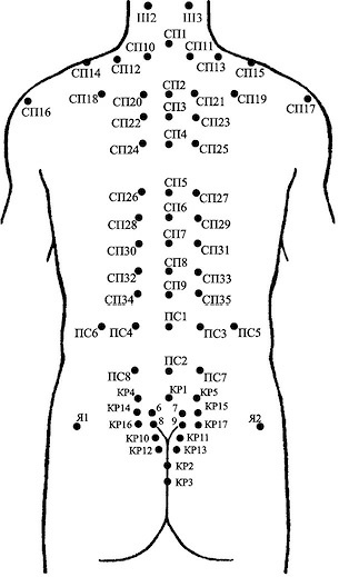 Иллюстрация к книге — Лечение пиявками. Теория и практика гирудотерапии [i_019.jpg]