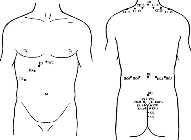 Иллюстрация к книге — Лечение пиявками. Теория и практика гирудотерапии [i_022.jpg]