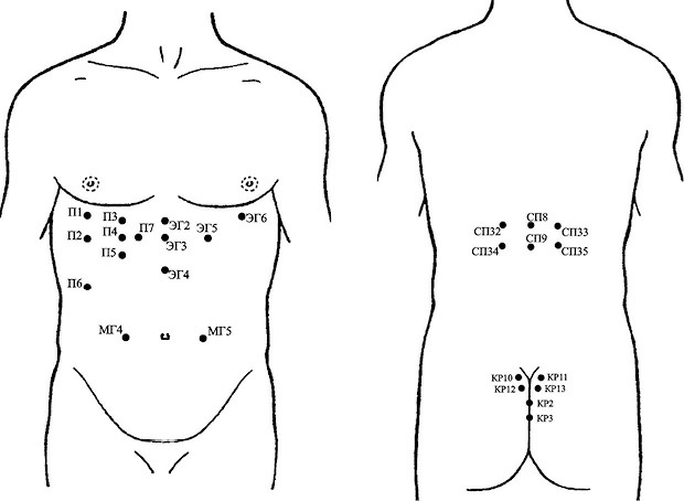 Иллюстрация к книге — Лечение пиявками. Теория и практика гирудотерапии [i_029.jpg]