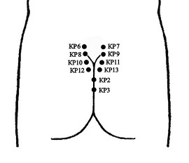 Иллюстрация к книге — Лечение пиявками. Теория и практика гирудотерапии [i_036.jpg]