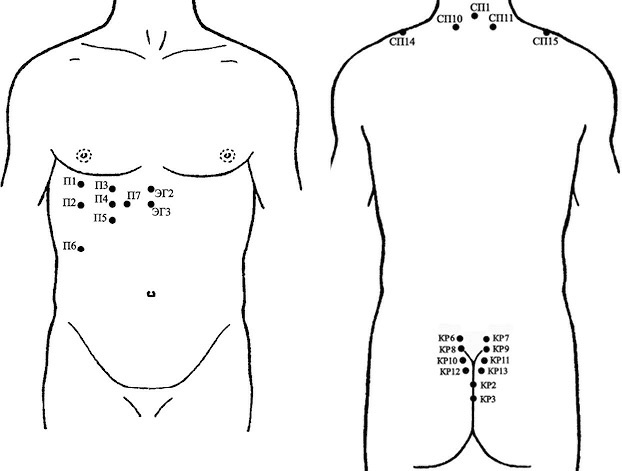 Иллюстрация к книге — Лечение пиявками. Теория и практика гирудотерапии [i_043.jpg]
