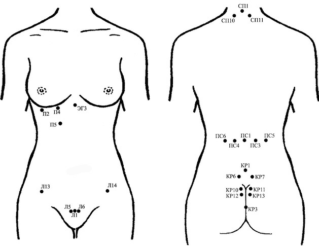 Иллюстрация к книге — Лечение пиявками. Теория и практика гирудотерапии [i_047.jpg]