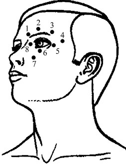 Иллюстрация к книге — Лечение пиявками. Теория и практика гирудотерапии [i_050.jpg]