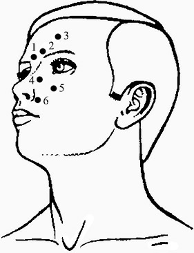 Иллюстрация к книге — Лечение пиявками. Теория и практика гирудотерапии [i_051.jpg]