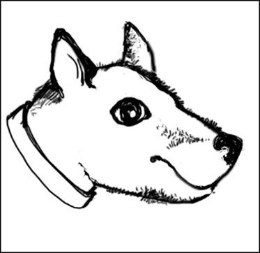 Иллюстрация к книге — Самая младшая [_290.jpg]