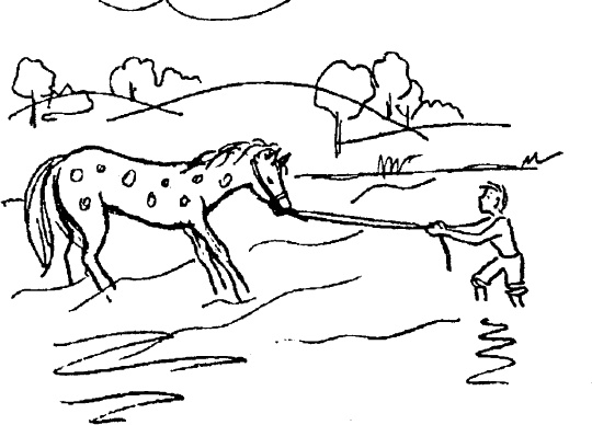 Иллюстрация к книге — Самая важная книга для родителей [_050_1.jpg]