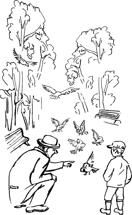 Иллюстрация к книге — Самая важная книга для родителей [_304_1.jpg]