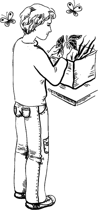 Иллюстрация к книге — Самая важная книга для родителей [_688_1.jpg]