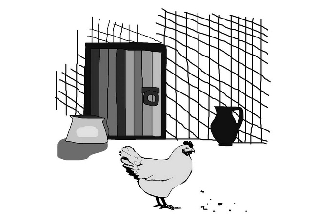 Иллюстрация к книге — С неба упали три яблока [i_006.jpg]