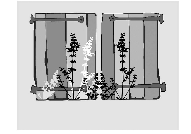 Иллюстрация к книге — С неба упали три яблока [i_017.jpg]