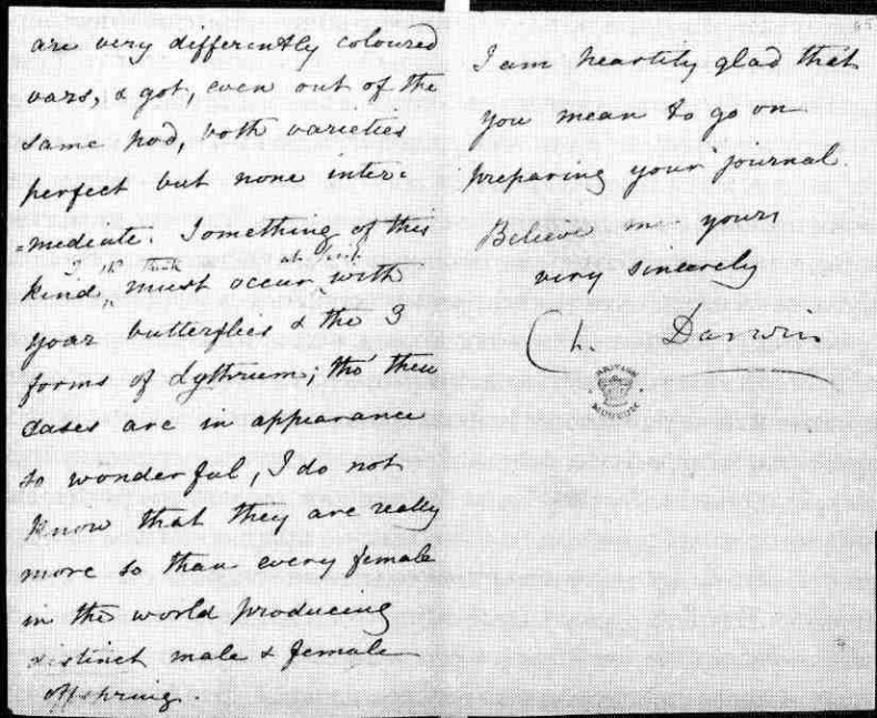 Иллюстрация к книге — Капеллан дьявола. Размышления о надежде, лжи, науке и любви [img19F7.jpg]