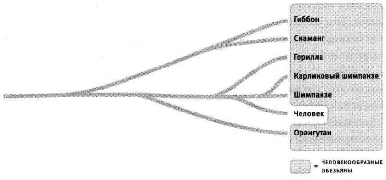 Иллюстрация к книге — Капеллан дьявола. Размышления о надежде, лжи, науке и любви [img33CD.jpg]