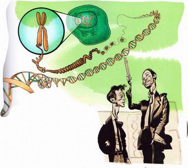 Иллюстрация к книге — Магия реальности. Как мы узнаем истину [i_001.jpg]