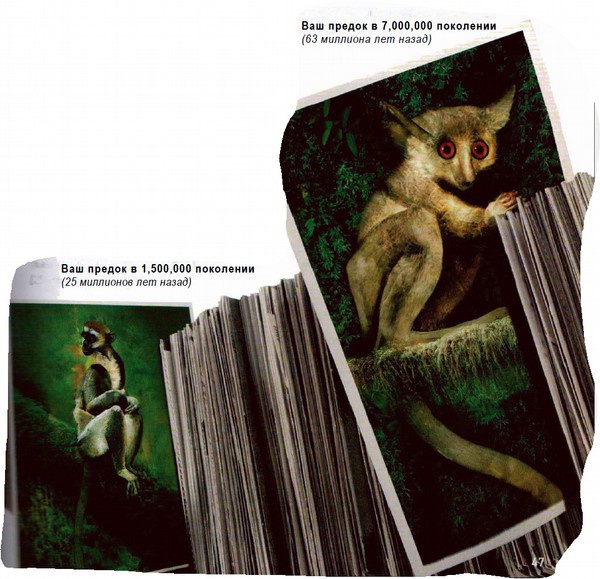 Иллюстрация к книге — Магия реальности. Как мы узнаем истину [i_025.jpg]