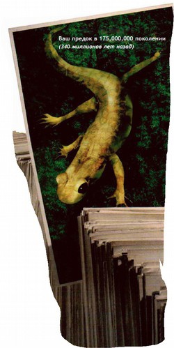 Иллюстрация к книге — Магия реальности. Как мы узнаем истину [i_028.jpg]