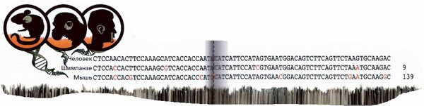 Иллюстрация к книге — Магия реальности. Как мы узнаем истину [i_029.jpg]