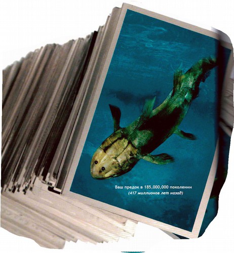 Иллюстрация к книге — Магия реальности. Как мы узнаем истину [i_030.jpg]