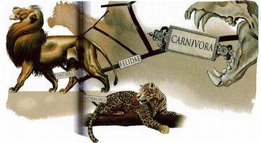 Иллюстрация к книге — Магия реальности. Как мы узнаем истину [i_037.jpg]