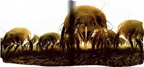 Иллюстрация к книге — Магия реальности. Как мы узнаем истину [i_063.jpg]