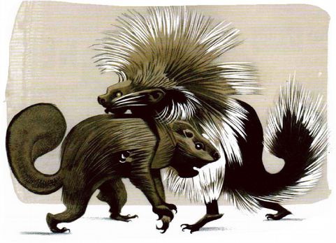 Иллюстрация к книге — Магия реальности. Как мы узнаем истину [i_067.jpg]