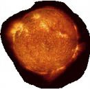 Иллюстрация к книге — Магия реальности. Как мы узнаем истину [i_094.jpg]