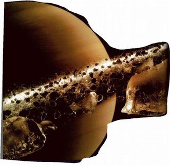 Иллюстрация к книге — Магия реальности. Как мы узнаем истину [i_099.jpg]