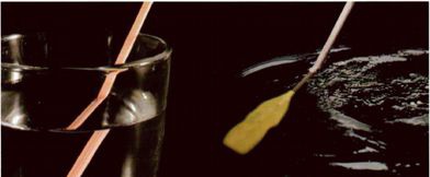 Иллюстрация к книге — Магия реальности. Как мы узнаем истину [i_120.jpg]