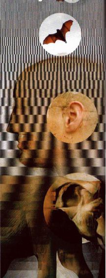 Иллюстрация к книге — Магия реальности. Как мы узнаем истину [i_125.jpg]