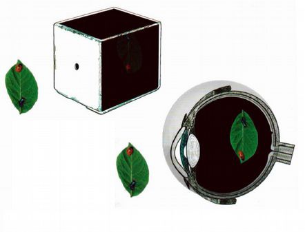 Иллюстрация к книге — Магия реальности. Как мы узнаем истину [i_155.jpg]