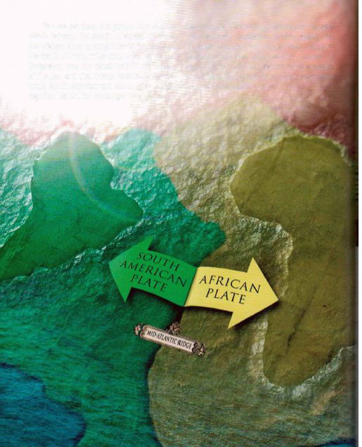 Иллюстрация к книге — Магия реальности. Как мы узнаем истину [i_174.jpg]