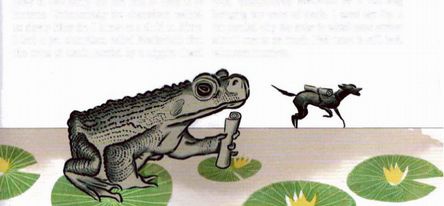 Иллюстрация к книге — Магия реальности. Как мы узнаем истину [i_181.jpg]