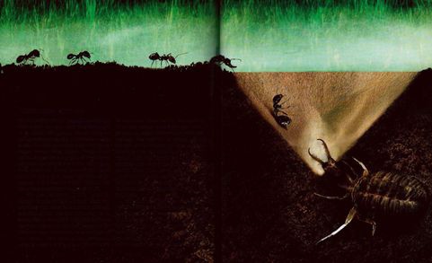 Иллюстрация к книге — Магия реальности. Как мы узнаем истину [i_190.jpg]