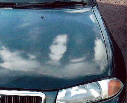 Иллюстрация к книге — Магия реальности. Как мы узнаем истину [i_195.jpg]