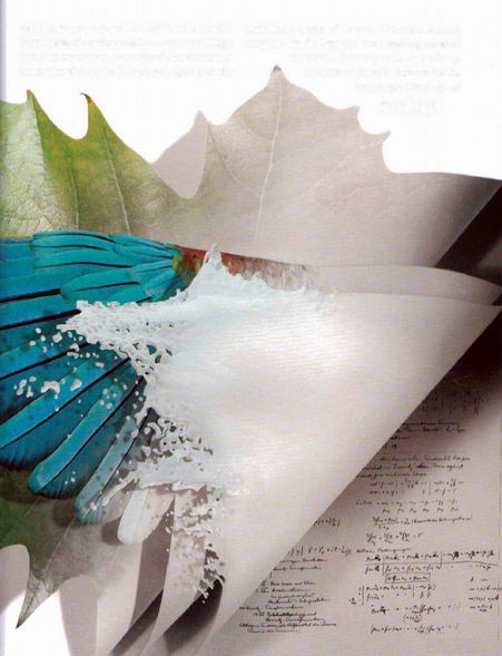 Иллюстрация к книге — Магия реальности. Как мы узнаем истину [i_210.jpg]