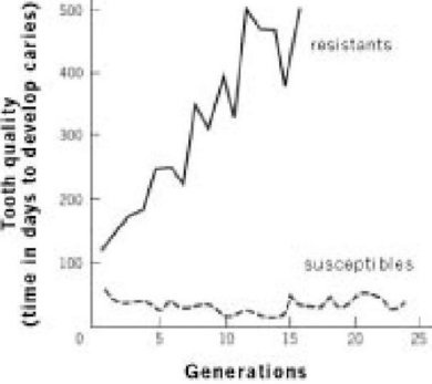 Иллюстрация к книге — Самое грандиозное шоу на Земле. Доказательства эволюции [i_008.jpg]