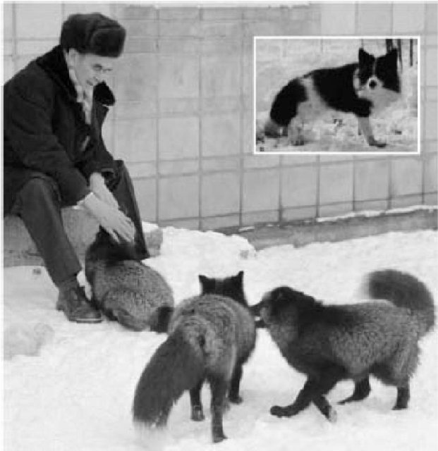 Иллюстрация к книге — Самое грандиозное шоу на Земле. Доказательства эволюции [i_009.jpg]