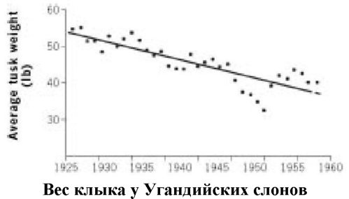 Иллюстрация к книге — Самое грандиозное шоу на Земле. Доказательства эволюции [i_012.jpg]